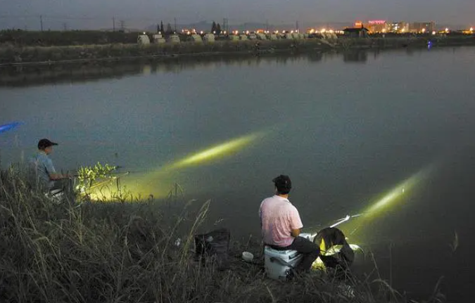 What new experiences can you get when fishing at night using night vision equipment?