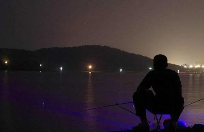 What new experiences can you get when fishing at night using night vision equipment?