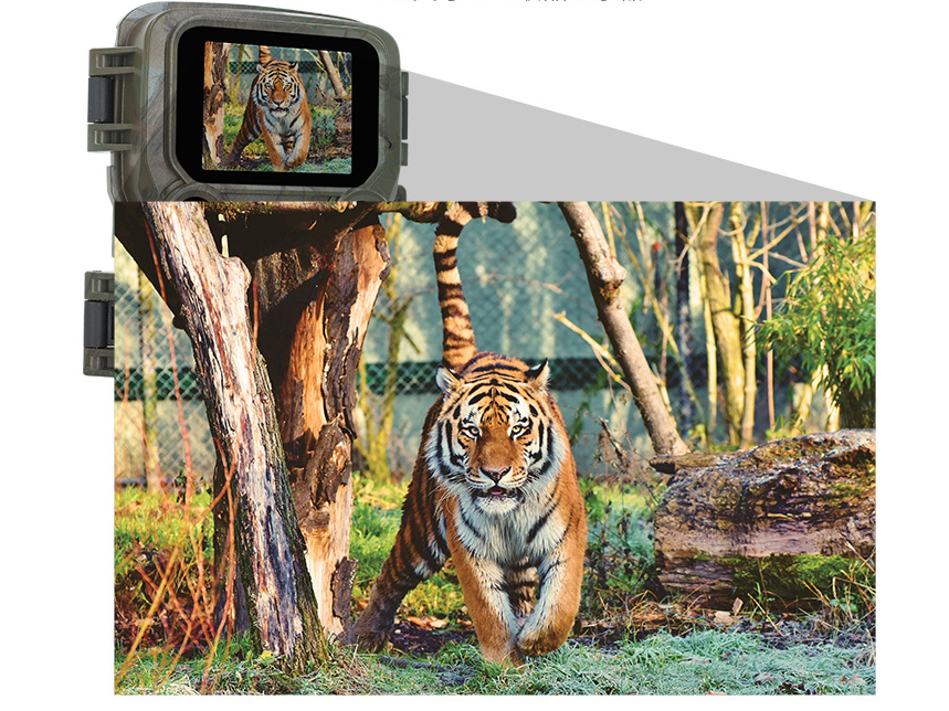 Reference for equipment selection for the construction of biodiversity monitoring system in protected areas (infrared trigger camera)