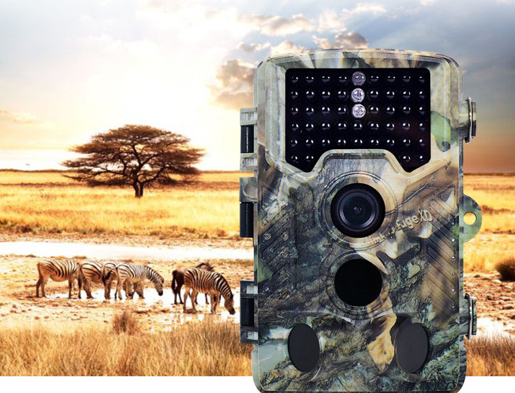 16 million 1080P infrared sensor scientific research detection hunting camera wild animal HD hunting camera