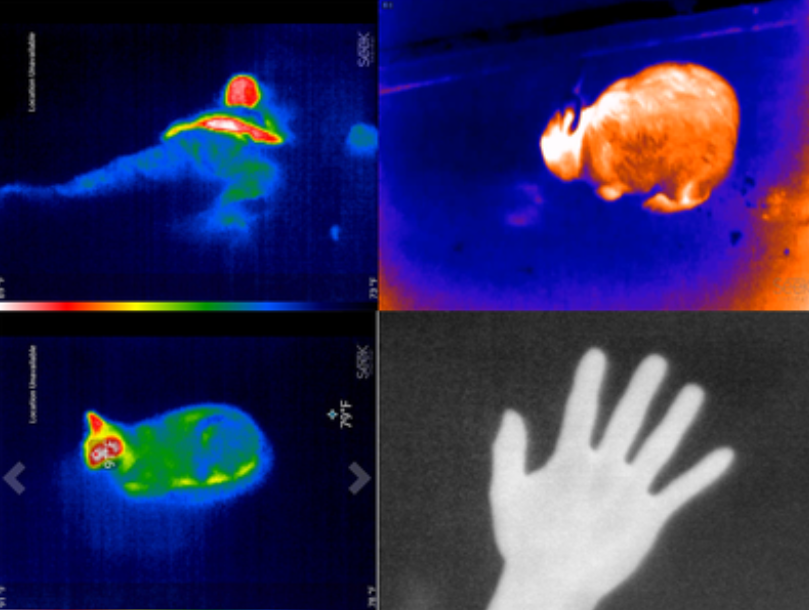 Thermal response time of infrared thermal imager and its influencing factors