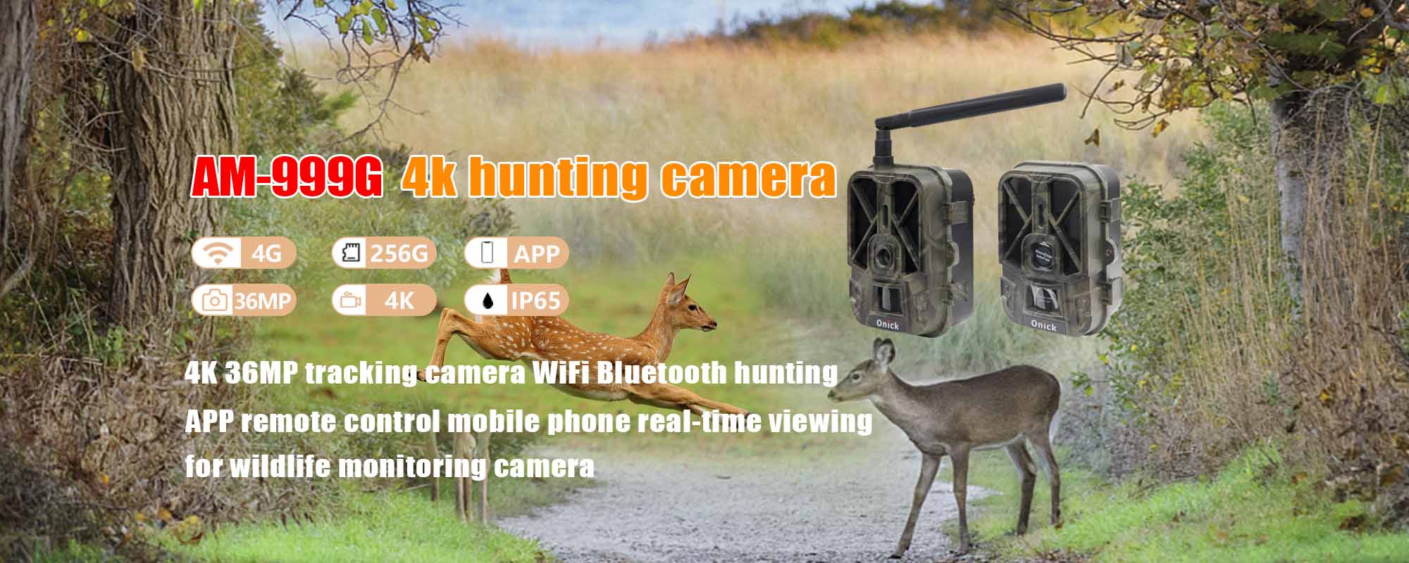 Trail Cameras