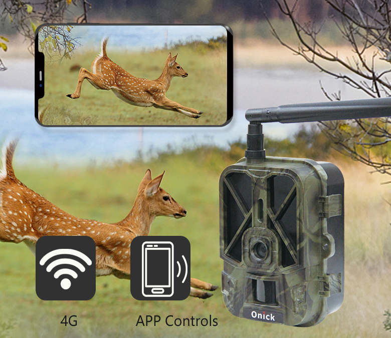 Wildlife Monitoring Cameras and Cloud Platforms