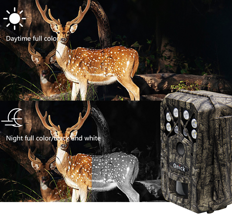 Wildlife Infrared Trigger Camera