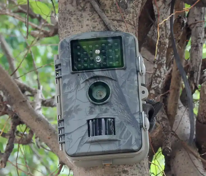 Application principle of infrared camera in environmental monitoring