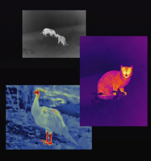 The role and application scenarios of thermal imaging reconnaissance devices in outdoor search and rescue