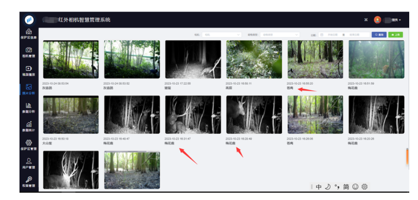 Infrared monitoring camera